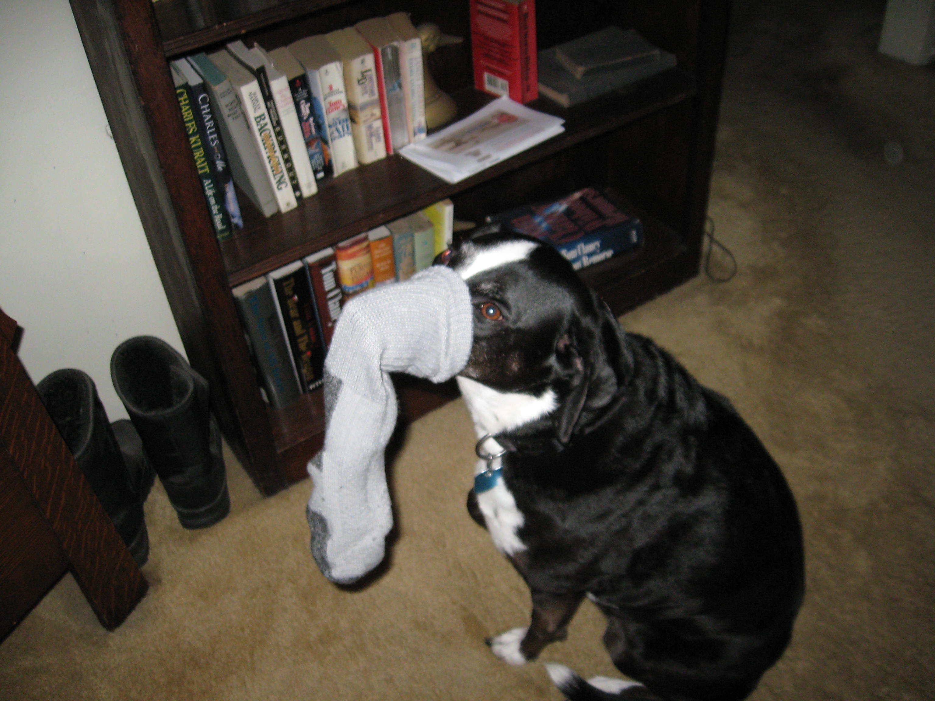 sockwarmer005.jpg
